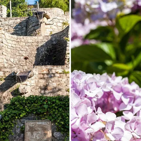 Casa di campagna Le Rocche Agriturismo *