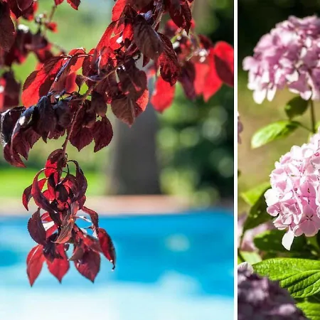 Le Rocche Agriturismo Country house