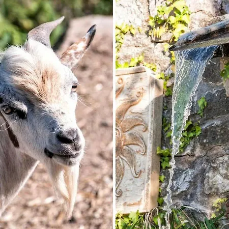 Le Rocche Agriturismo